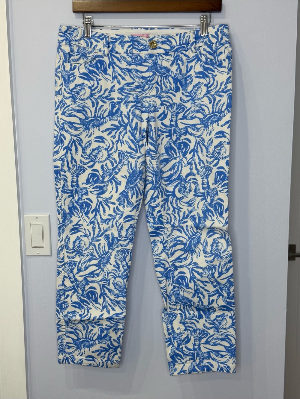 Lilly Pulitzer Women’s Blue and White Sea scape Printed Pants, size 8, like new!